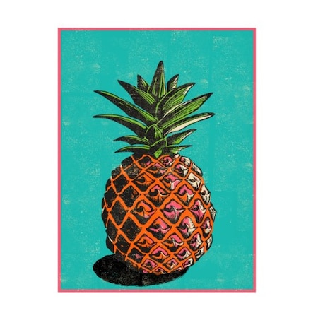 Jill White 'Pineapple Illustration' Canvas Art,18x24